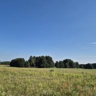 Dom na sprzedaż